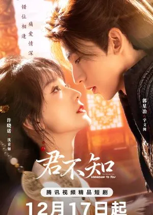 The Ultimate Vow, Unknown to You (2025)